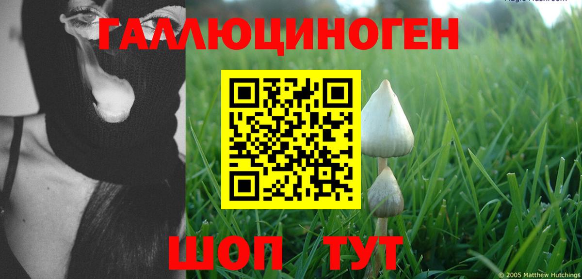 Алапаевск  Галлюциногенные грибы прущие грибы  Вход с VPN 