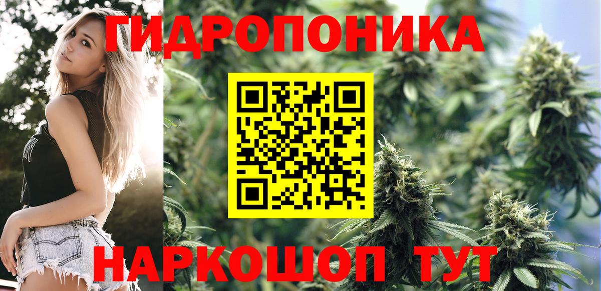 Шишки марихуана планчик  Канабис план  Канабис гибрид  Вход с VPN  Алапаевск 